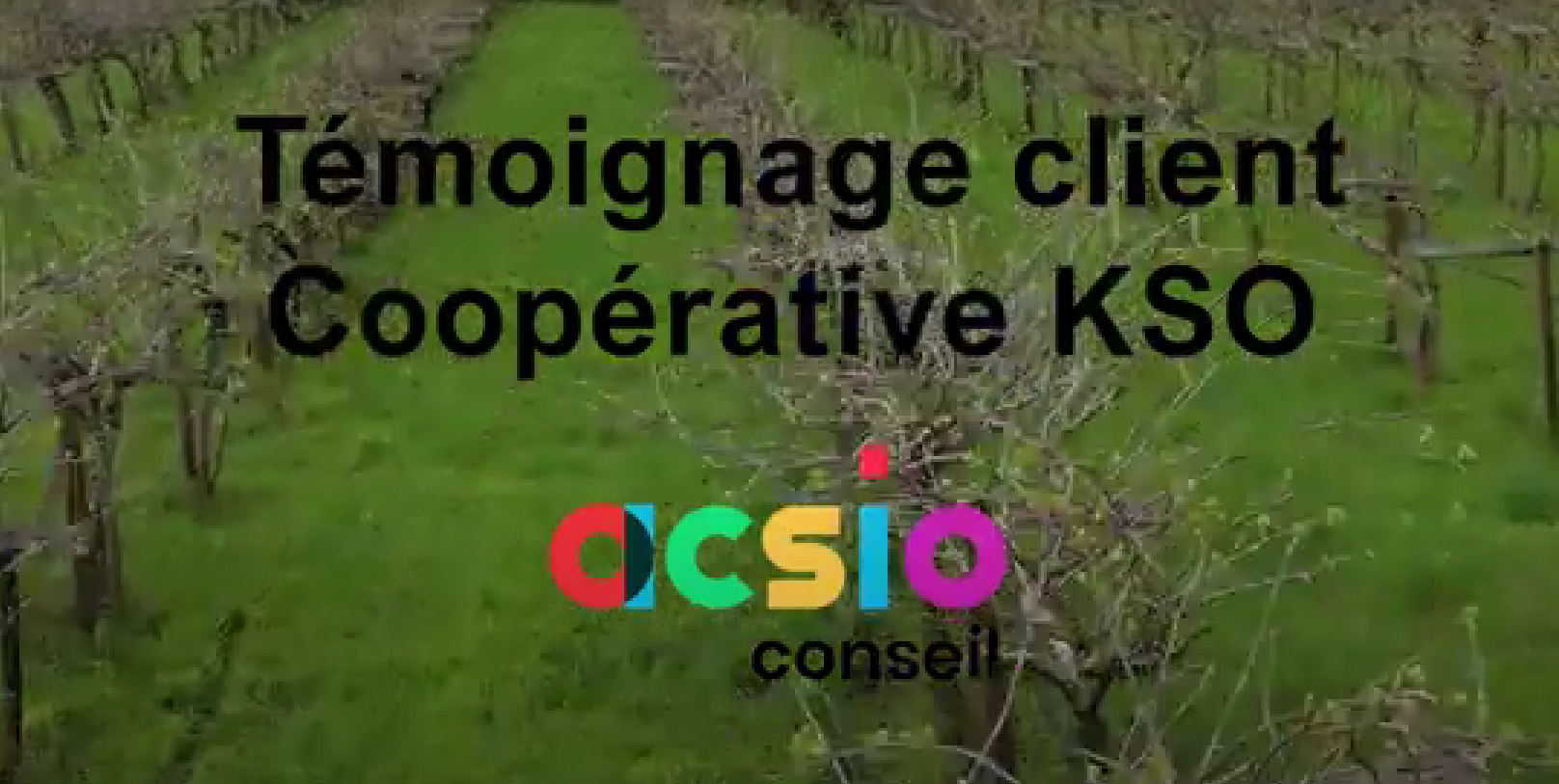 Cooperative KSO