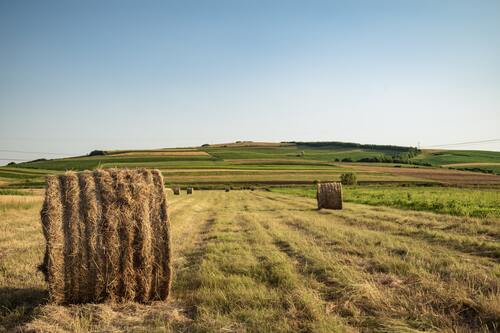 feader agro pays de la loire 2