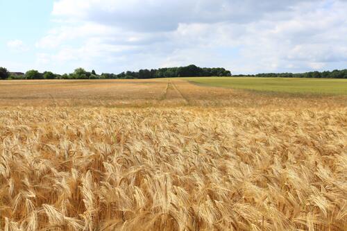 resilience agroalimentaire france 2030 2